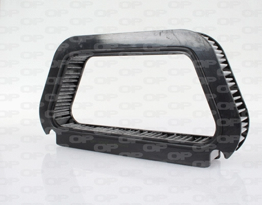 Filter, cabin air (CAF2202.11)