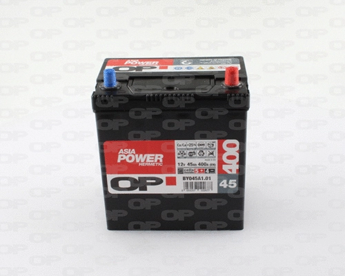 Starter Battery (BY045A1.01)