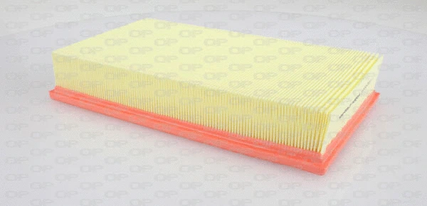 Air Filter (EAF3175.10)