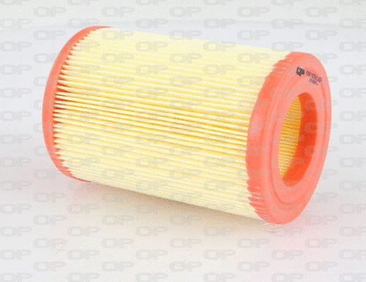 Air Filter (EAF3094.20)