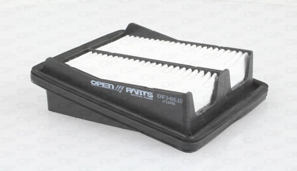 Air Filter (EAF3486.10)