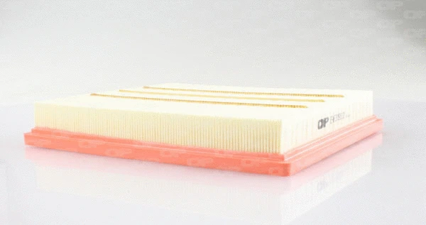 Air Filter (EAF3398.10)