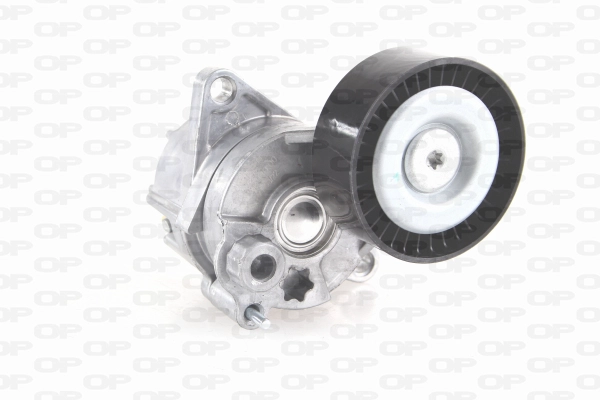 Belt Tensioner, V-ribbed belt (ACT2040.00)
