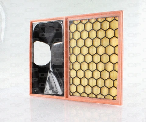 Air Filter (EAF3676.10)