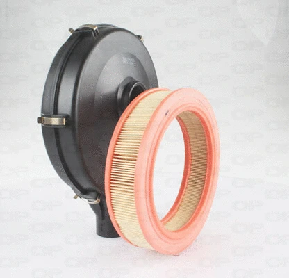 Air Filter (EAF3425.20)