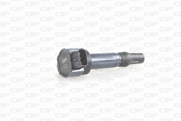 Ignition Coil (IGN1032.00)