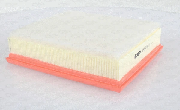 Air Filter (EAF3597.10)