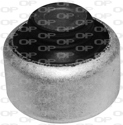 Mounting, control/trailing arm (SSS1043.11)