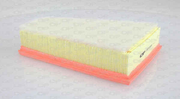 Air Filter (EAF3191.10)