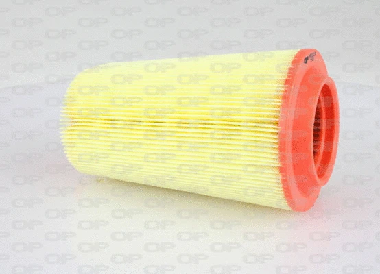 Air Filter (EAF3232.20)
