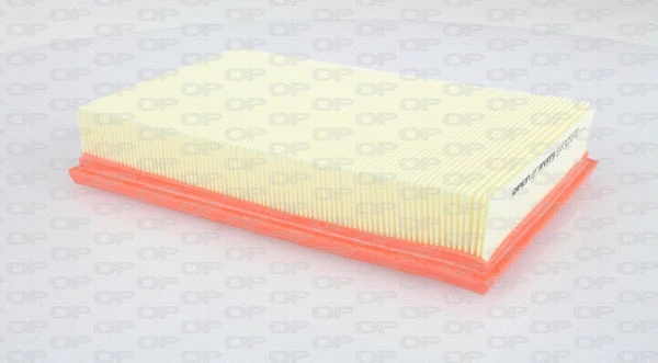 Air Filter (EAF3058.10)