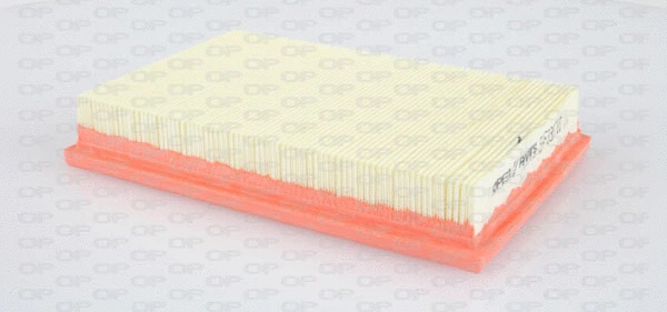Air Filter (EAF3337.10)