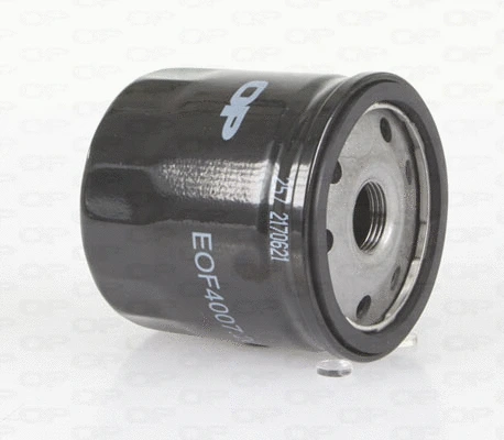 Oil Filter (EOF4007.20)