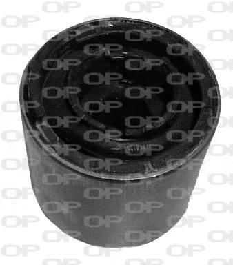 Mounting, control/trailing arm (SSS1097.11)