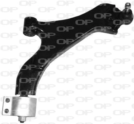 Control/Trailing Arm, wheel suspension (SSW1132.01)