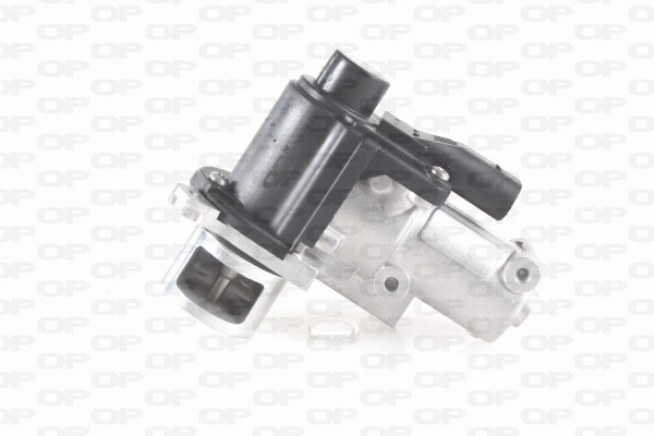 EGR Valve (EGR3006.00)