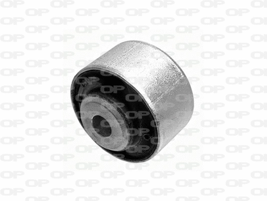 Mounting, control/trailing arm (SSS1144.11)