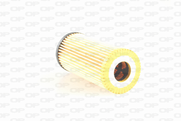 Oil Filter (EOF4256.10)