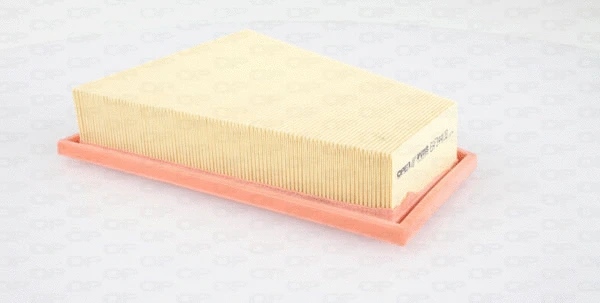 Air Filter (EAF3448.10)