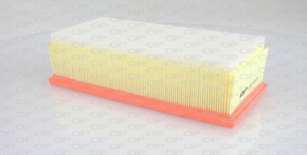 Air Filter (EAF3305.10)