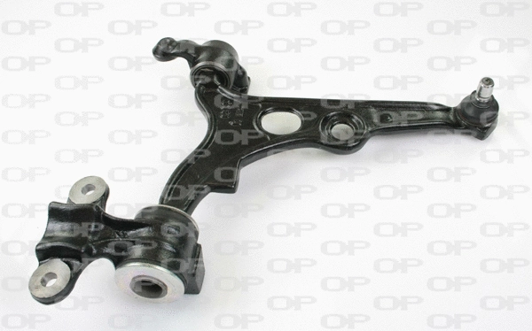 Control/Trailing Arm, wheel suspension (SSW1016.01)