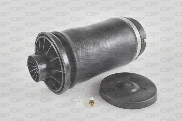 Air Spring, suspension (ASP4004.00)