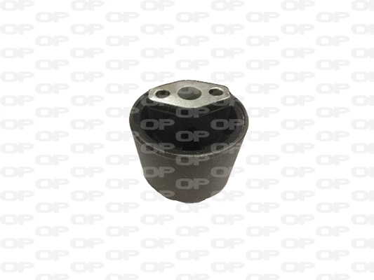 Mounting, control/trailing arm (SSS1240.11)