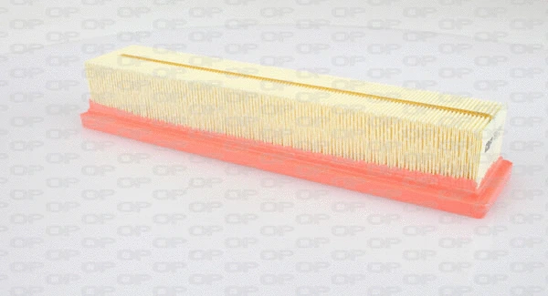 Air Filter (EAF3046.10)