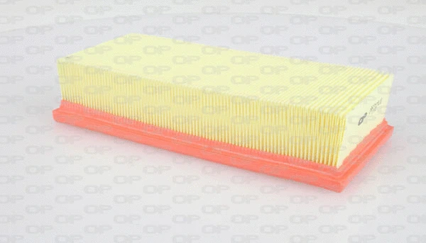 Air Filter (EAF3139.10)