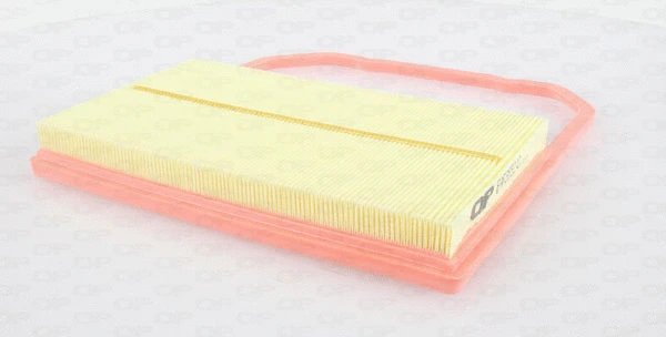 Air Filter (EAF3552.10)