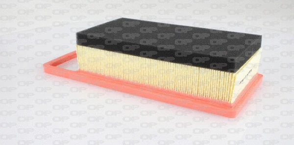 Air Filter (EAF3296.10)