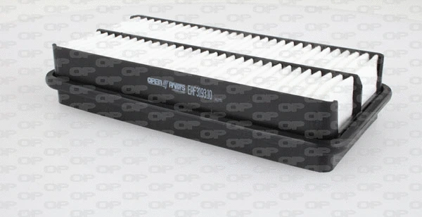 Air Filter (EAF3193.10)
