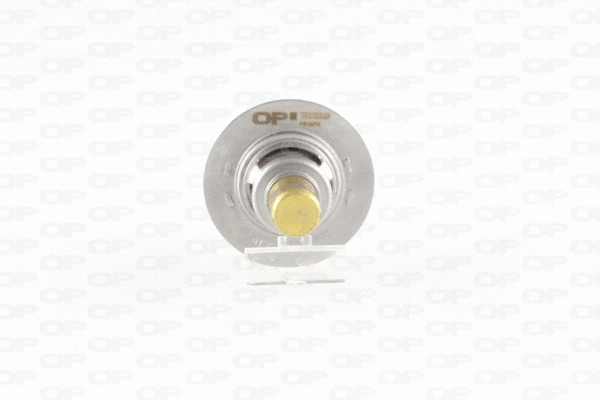 Thermostat, coolant (TRM1009.00)