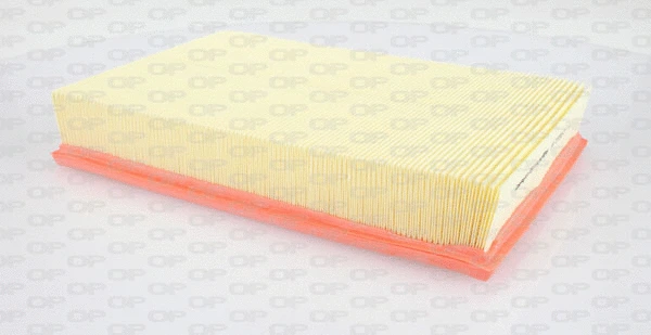 Air Filter (EAF3155.10)