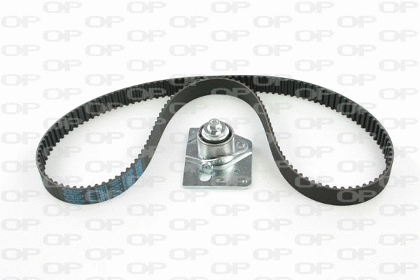 Timing Belt Kit (TBK5008.01)