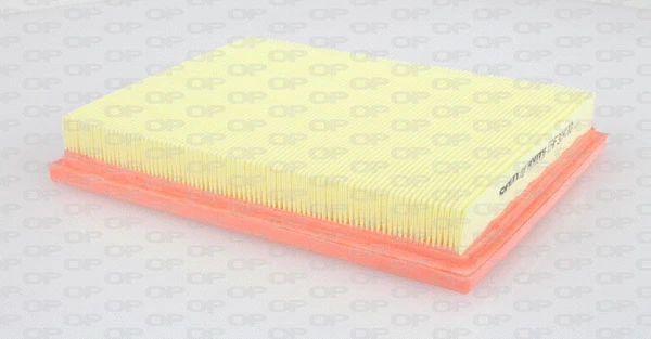 Air Filter (EAF3041.10)