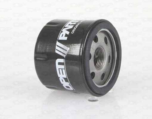 Oil Filter (EOF4024.20)