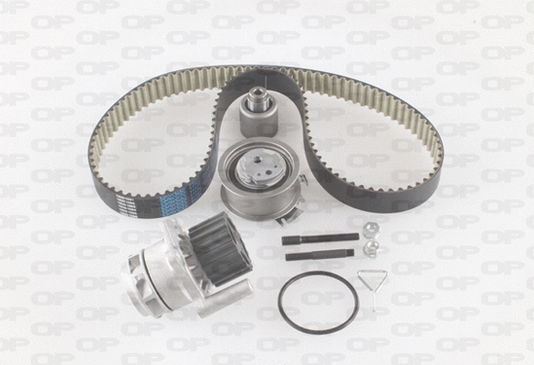 Water Pump & Timing Belt Kit (WTBK5000.01)