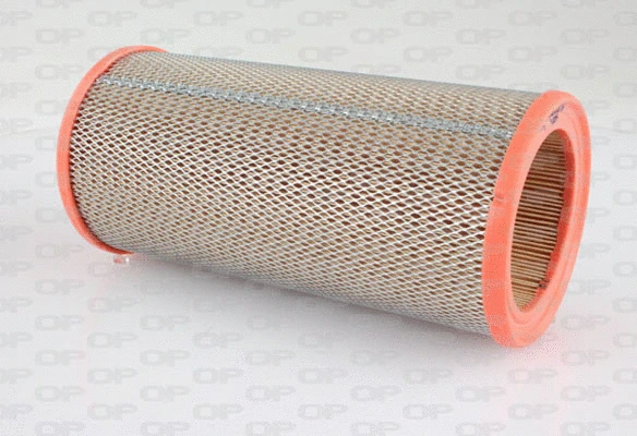 Air Filter (EAF3187.20)