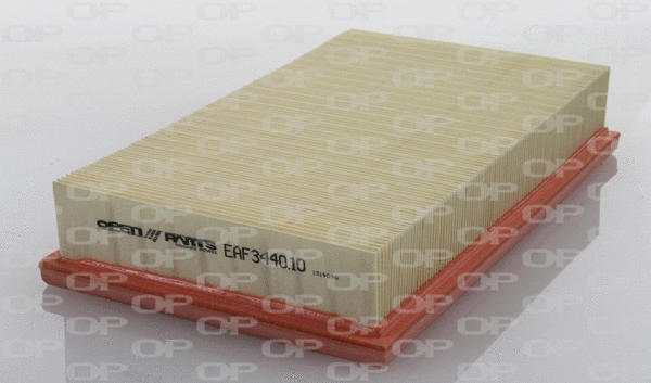 Air Filter (EAF3440.10)