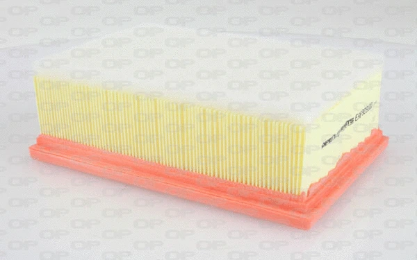 Air Filter (EAF3091.10)