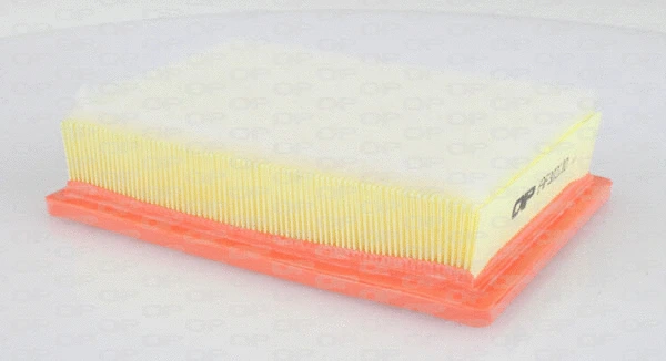 Air Filter (EAF3022.10)
