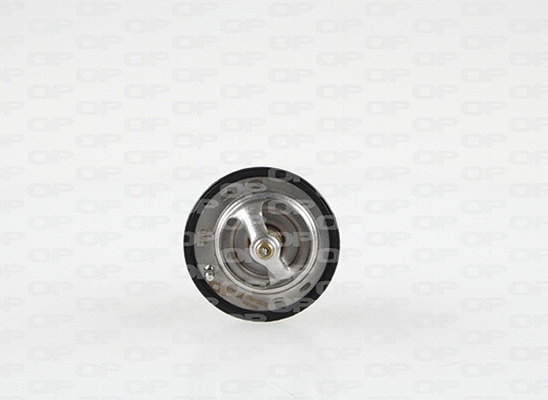 Thermostat, coolant (TRM1108.00)