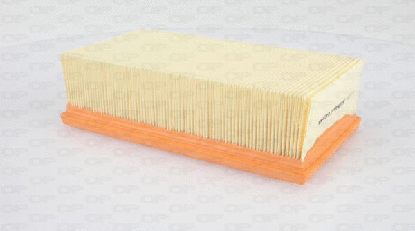 Air Filter (EAF3395.10)