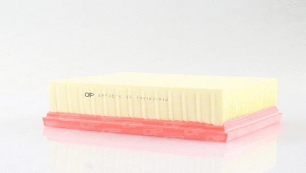 Air Filter (EAF3074.10)