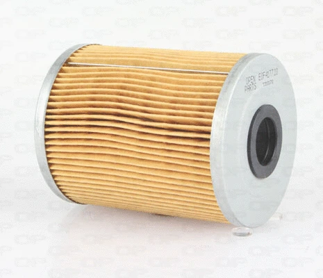 Oil Filter (EOF4177.10)