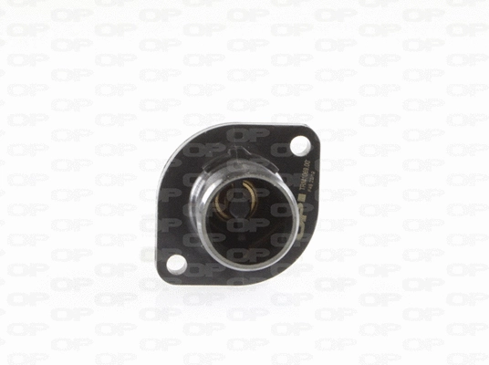 Thermostat, coolant (TRM1069.00)