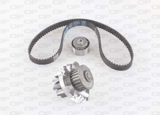 Water Pump & Timing Belt Kit (WTBK5002.00)