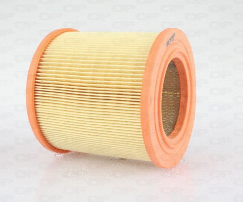 Air Filter (EAF3585.20)
