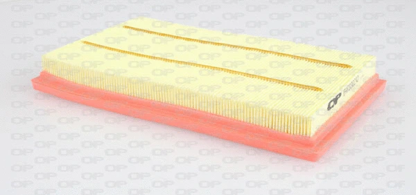 Air Filter (EAF3302.10)